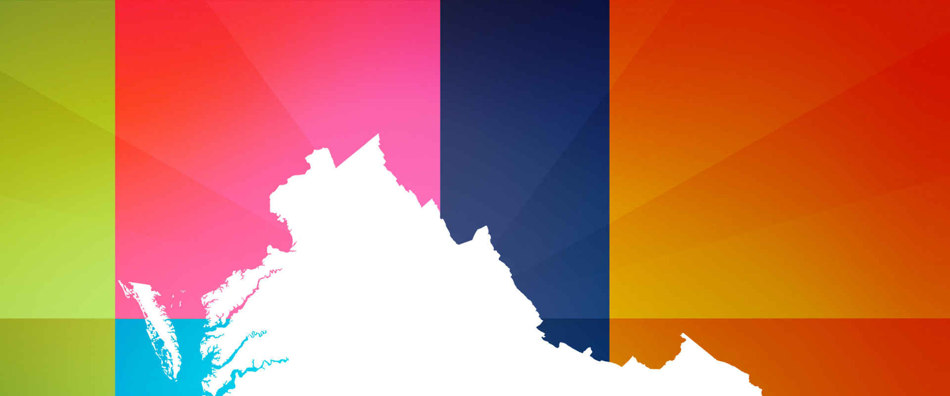 Understanding Population Demographics in Virginia