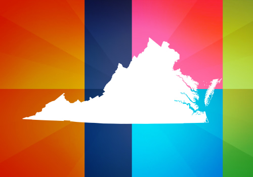 Understanding Population Demographics in Virginia